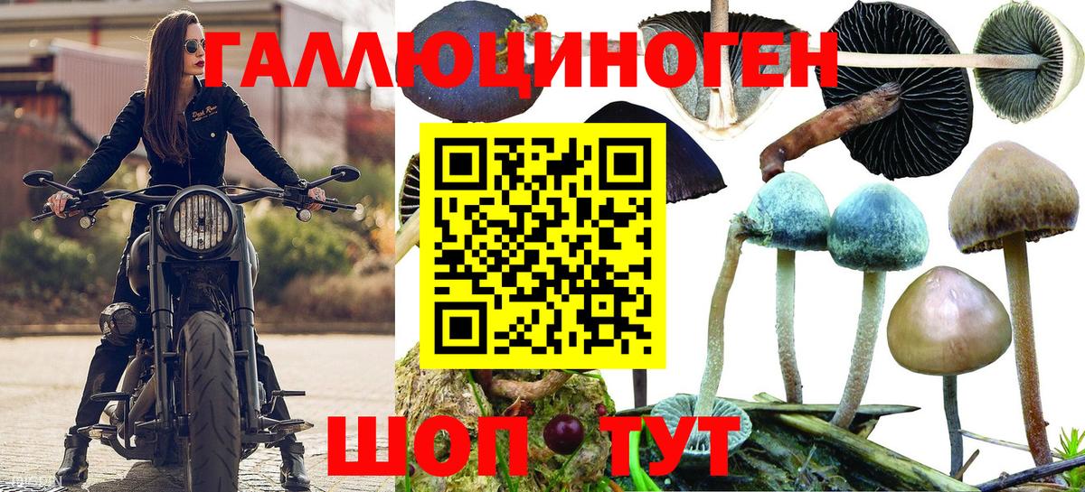 Псилоцибиновые грибы ЛСД Долгопрудный
