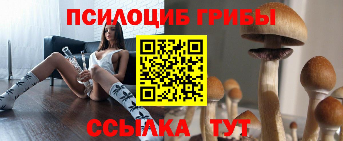 Галлюциногенные грибы GOLDEN TEACHER  Вход с VPN  Псилоцибиновые грибы ЛСД  Долгопрудный 